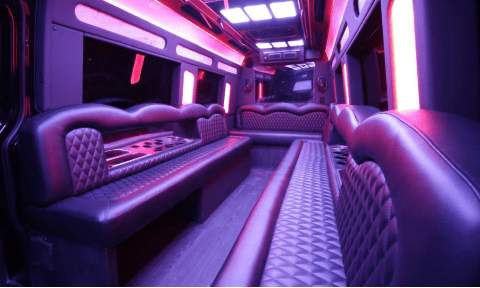 Huntington Beach 14 Passenger Sprinter Bus Interior