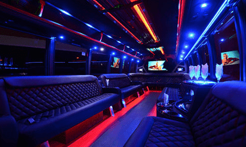 Irvine 30 Passenger Party Bus Black Interior