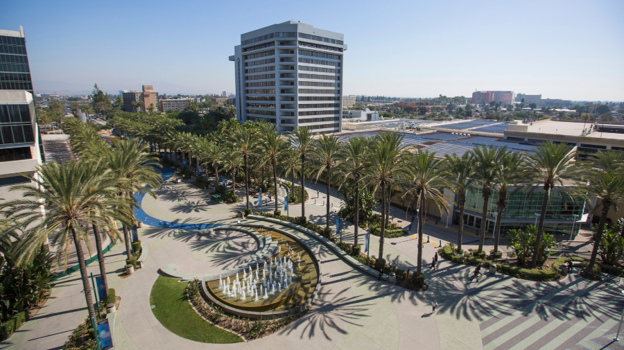 The First-Time Visitor’s Guide to Exploring Anaheim